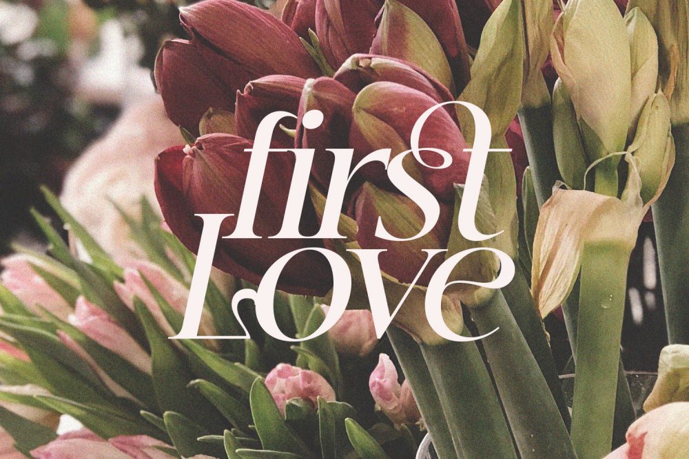 Jeremina Jemina Font | Fashion Branding Typeface | Creative Media Lab