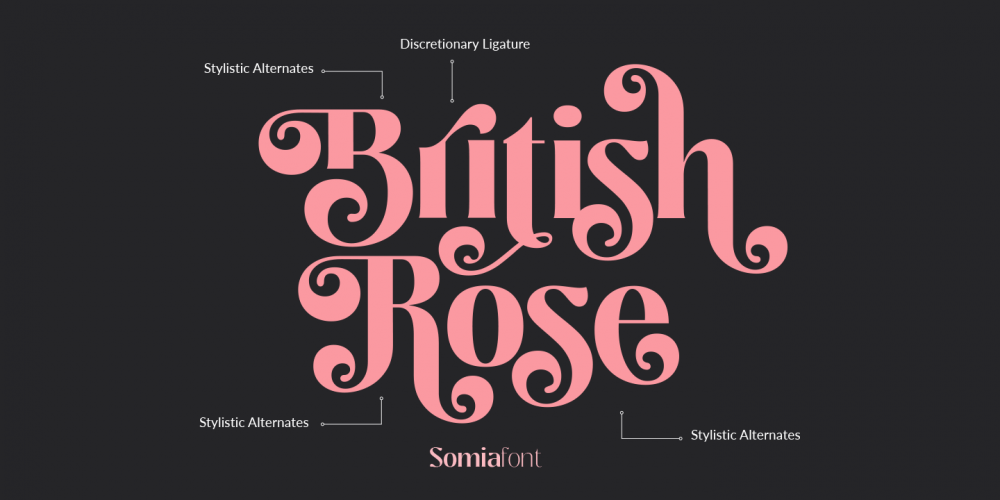 Somia - Creative Media Lab